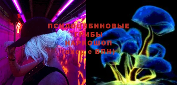 Альфа ПВП Володарск