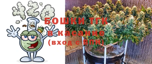 PSILOCYBIN Волосово