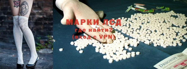 PSILOCYBIN Волосово