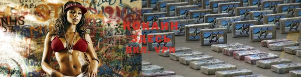 PSILOCYBIN Волосово
