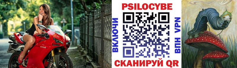 Псилоцибиновые грибы Cubensis  где продают   Вилючинск 